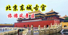 日女人骚逼网站中国北京-东城古宫旅游风景区